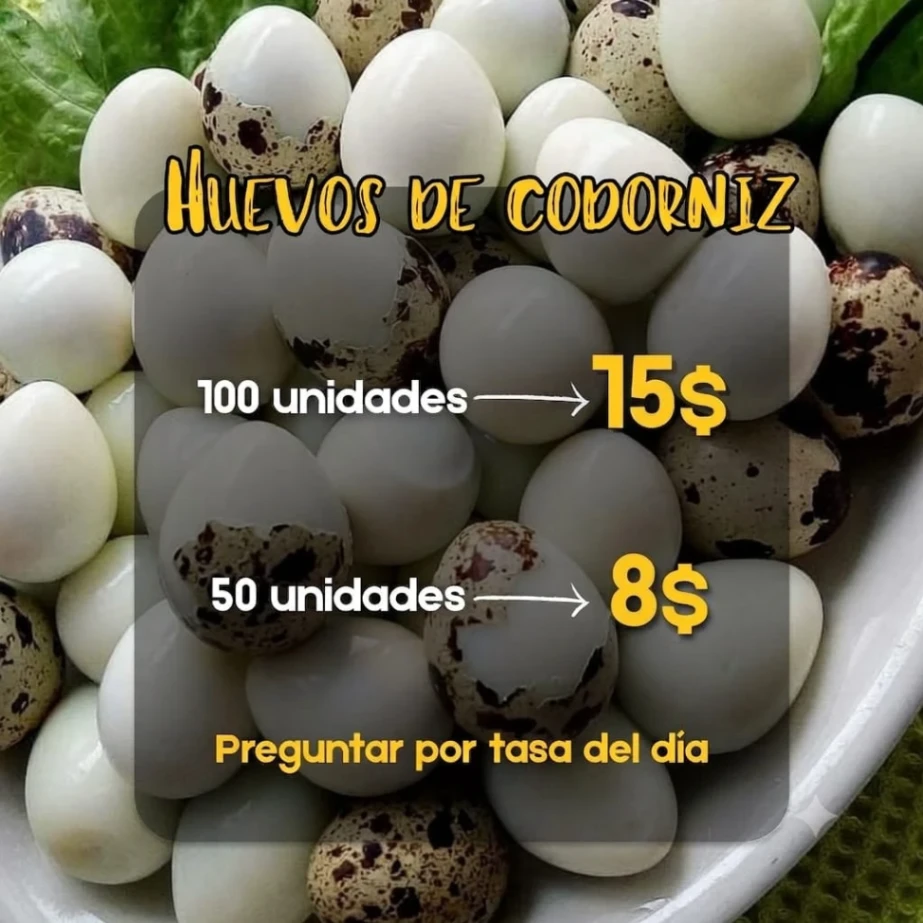 Huevos de codorniz
